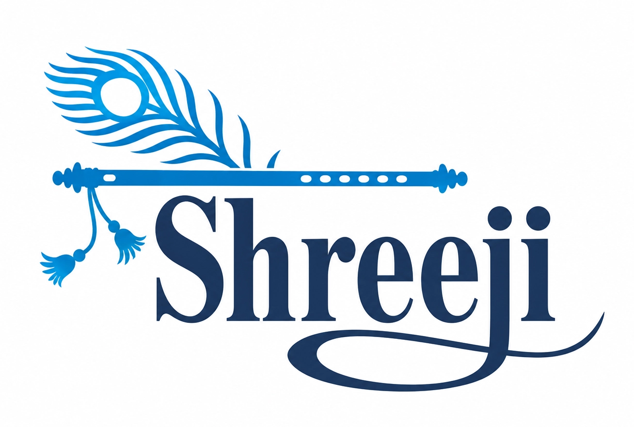 Shreeji Namkeen Waffers logo